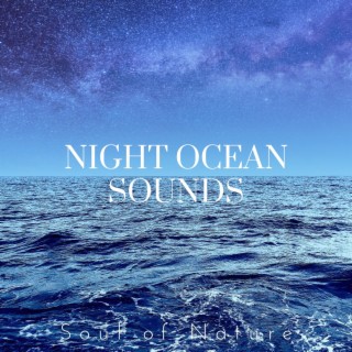 Night Ocean Sounds