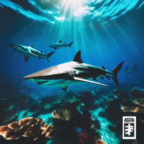 SHARKS | Boomplay Music