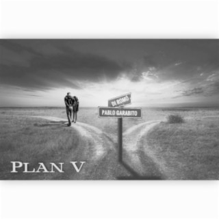 Plan V