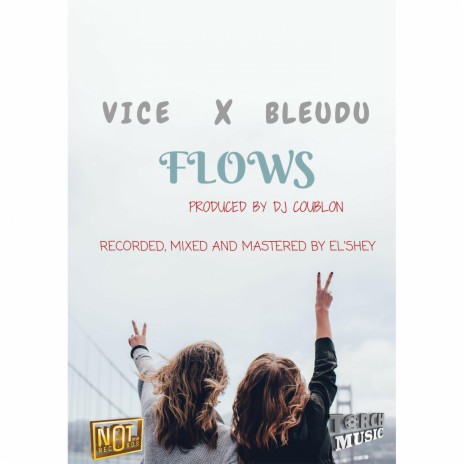 Flowz (feat. Bleudu) | Boomplay Music