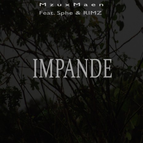 Impande ft. Sphe & Rimz | Boomplay Music