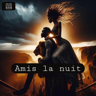 Amis la nuit