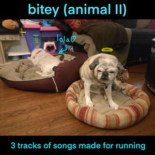 Bitey (Animal II)