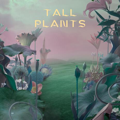 tall plants | Boomplay Music