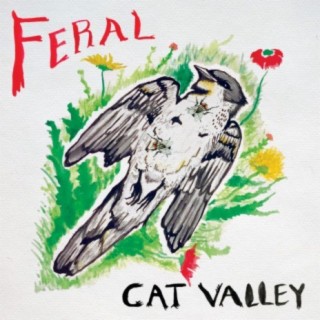 Feral