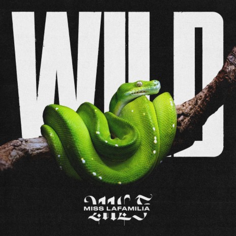 Wild | Boomplay Music