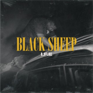 Black Sheep