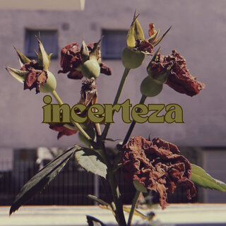 INCERTEZA