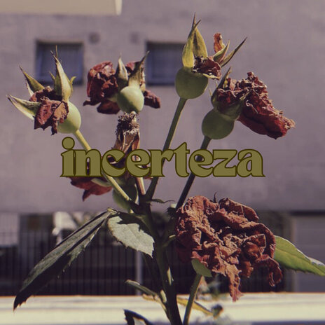 INCERTEZA | Boomplay Music