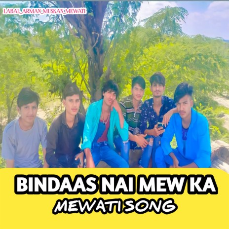 Bindass Nai Mew Ka Chhora ft. Aslam Singer Mewati | Boomplay Music