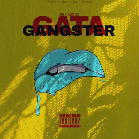 Gata Gangster ft. Nabidad23 | Boomplay Music
