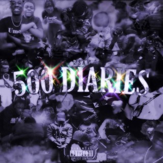 500 Diaries