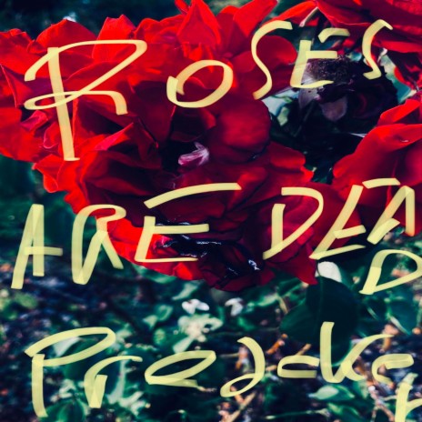 Roses Are Dead | Boomplay Music