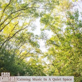 Calming Music In A Quiet Space