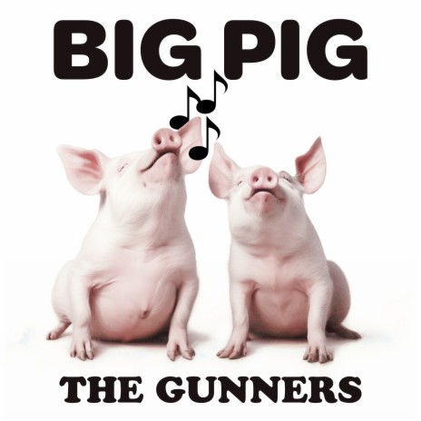 Big Pig | Boomplay Music