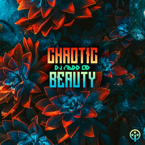 Chaotic Beauty | Boomplay Music