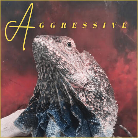 Aggressive ft. Highlord Doom | Boomplay Music