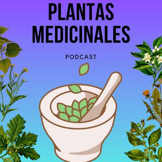 Plantas medicinales.