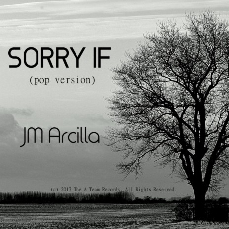 Sorry If (Pop Version) | Boomplay Music