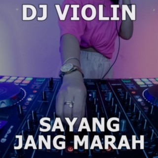DJ Violin