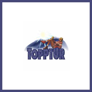 Topptur