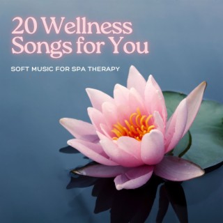 20 Wellness Songs for You: Soft Music for Spa Therapy