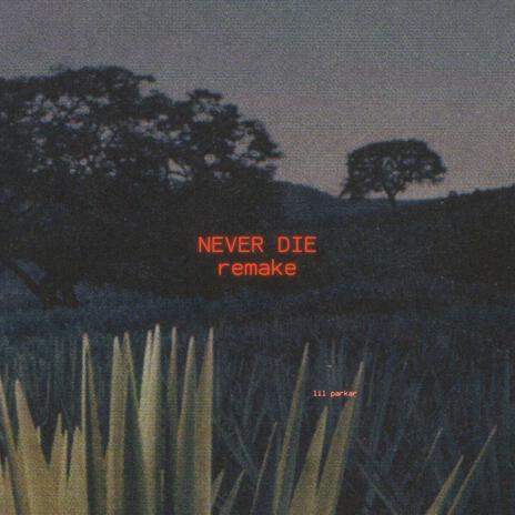 Never Die (Remake) | Boomplay Music