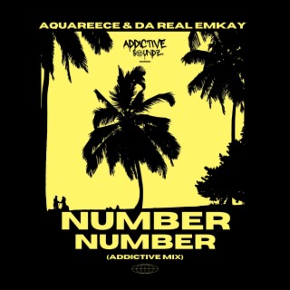 Number Number (Addictive Mix)