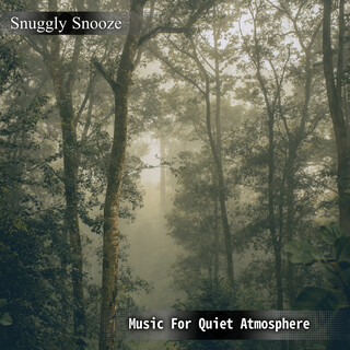 Music For Quiet Atmosphere