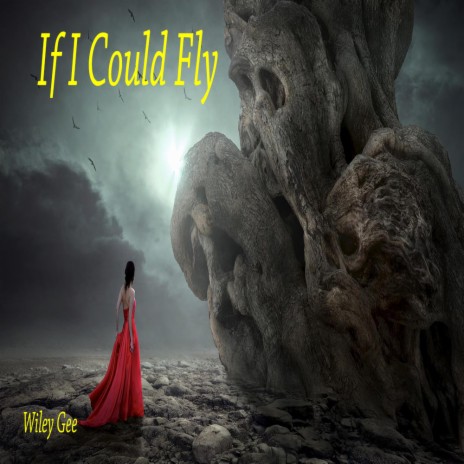 If I Could Fly | Boomplay Music