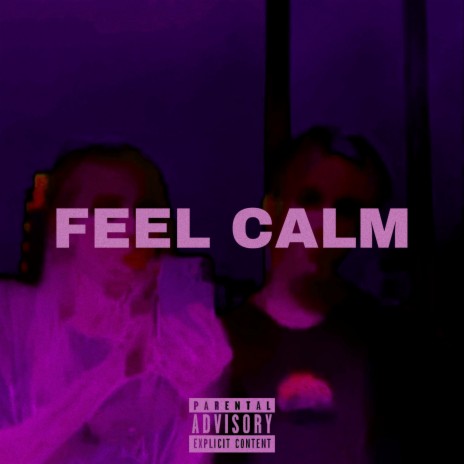Feel Calm ft. Lily | Boomplay Music