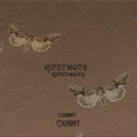 gipsy moth | Boomplay Music