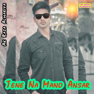 Tene Na Mano Ansar