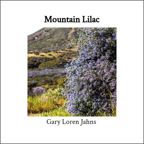 Mountain Lilac