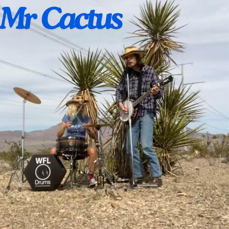 Mr Cactus | Boomplay Music