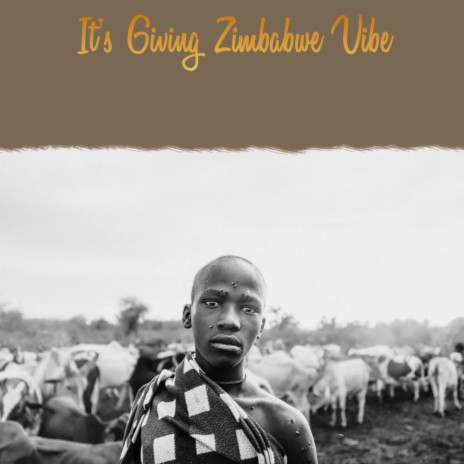 It's Giving Zimbabwe Vibe | Boomplay Music