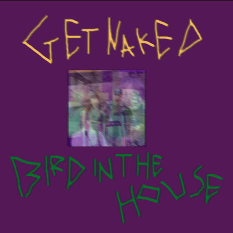 bird in the house | Boomplay Music