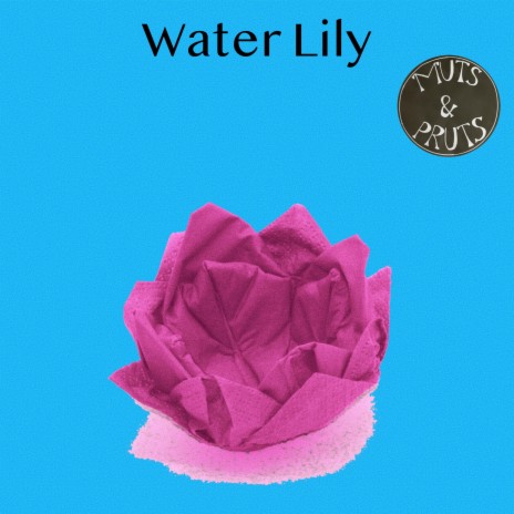 Water Lily