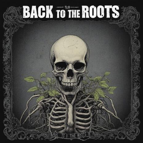 Back to the roots | Boomplay Music