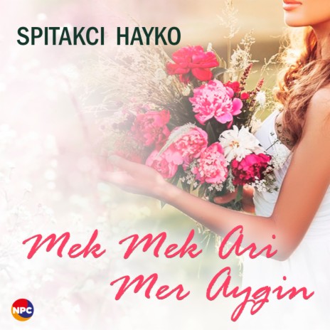 Mek Mek Ari Mer Aygin | Boomplay Music