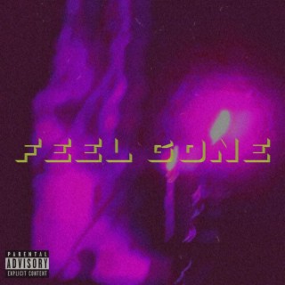 Feel gone ft. Shehates601 lyrics | Boomplay Music