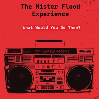 The Mister Flood Experience