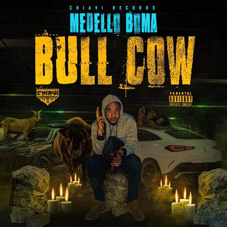 Bull Cow | Boomplay Music