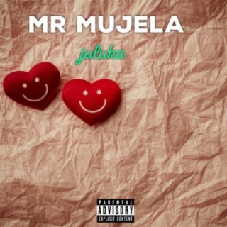 Mr Mujela