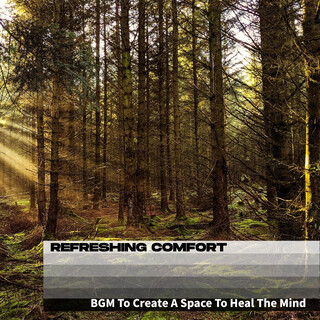 BGM To Create A Space To Heal The Mind