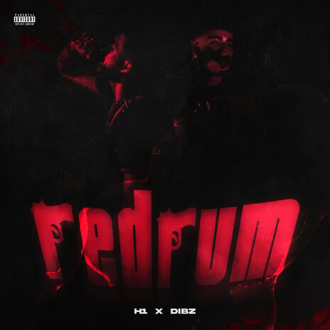 Redrum ft. DIBZ | Boomplay Music