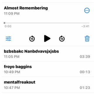 Almost Remembering (Voice Memo)