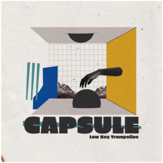 Capsule