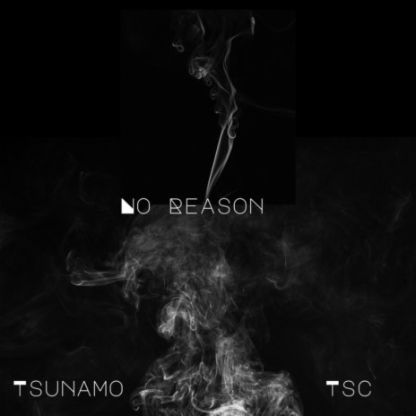 No Reason ft. TSUNAMO