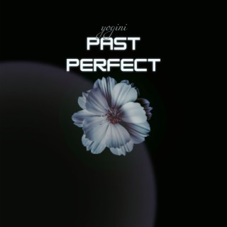 Past Perfect